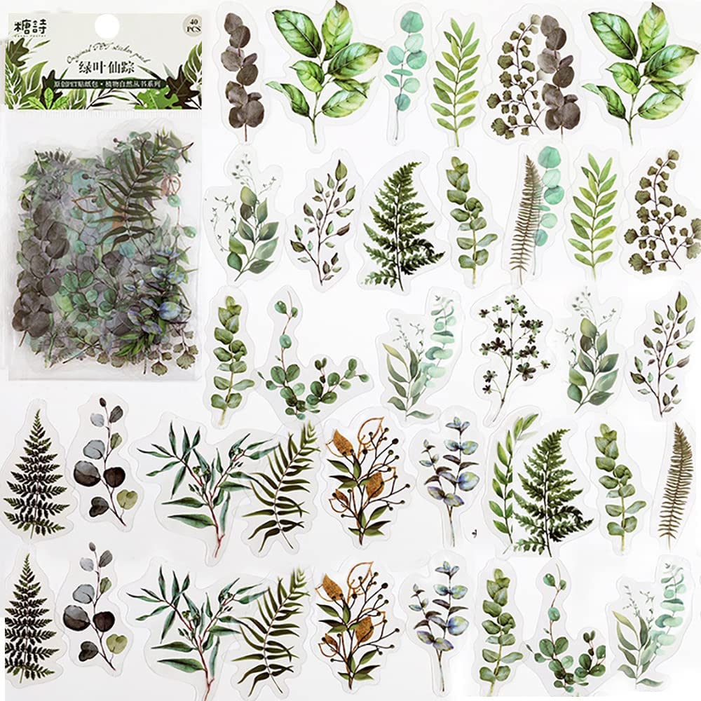40 Pcs Scrapbook Stickers PET  - đánh giá và giá Art Craft Journals